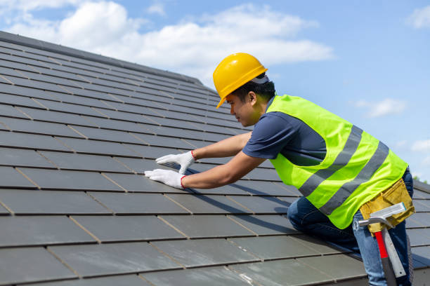 Roof Gutter Cleaning in Roland, AR